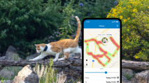 Aktivitetsspårning med nya Tractive GPS CAT 4 på smartphone