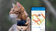 Écran de smartphone du suivi d'activité avec traceur Tractive GPS Cat 4