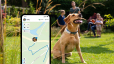 Écran de smartphone du mode LIVE Tractive et chien portant un GPS pour chien Tractive