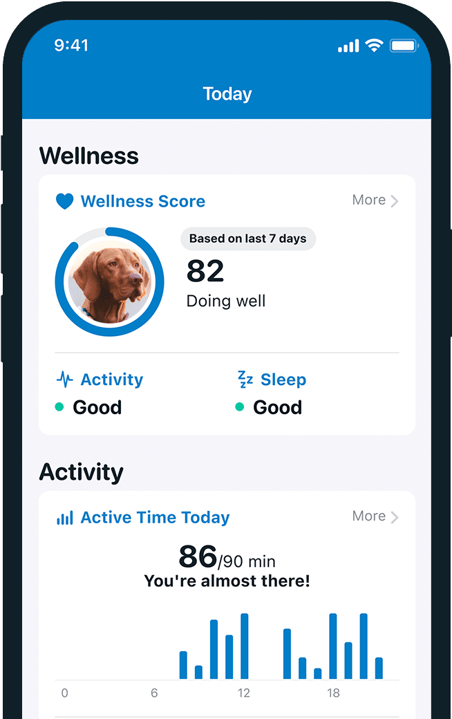 Keep track of your pet's activity