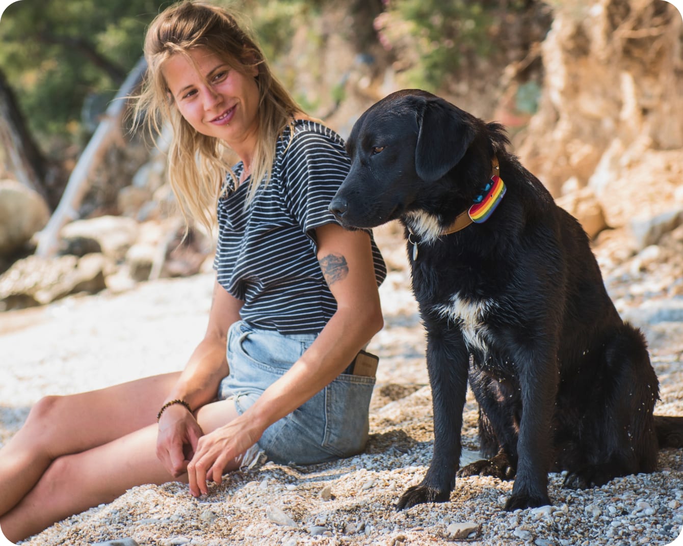 Hund som sitter på strand med ägare