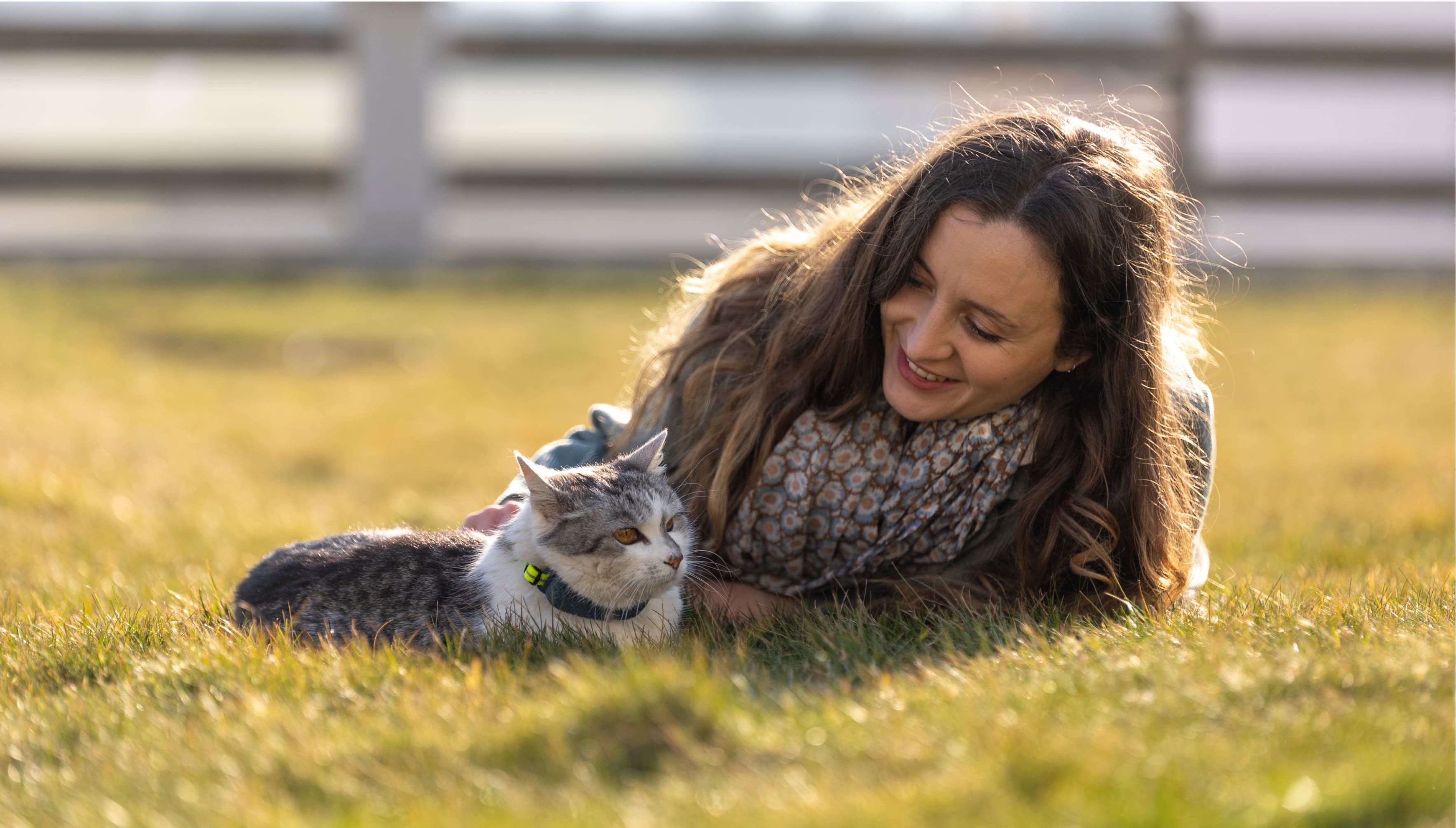 Kočka s trackerem Tractive GPS pro kočky a rodič ležící v trávě