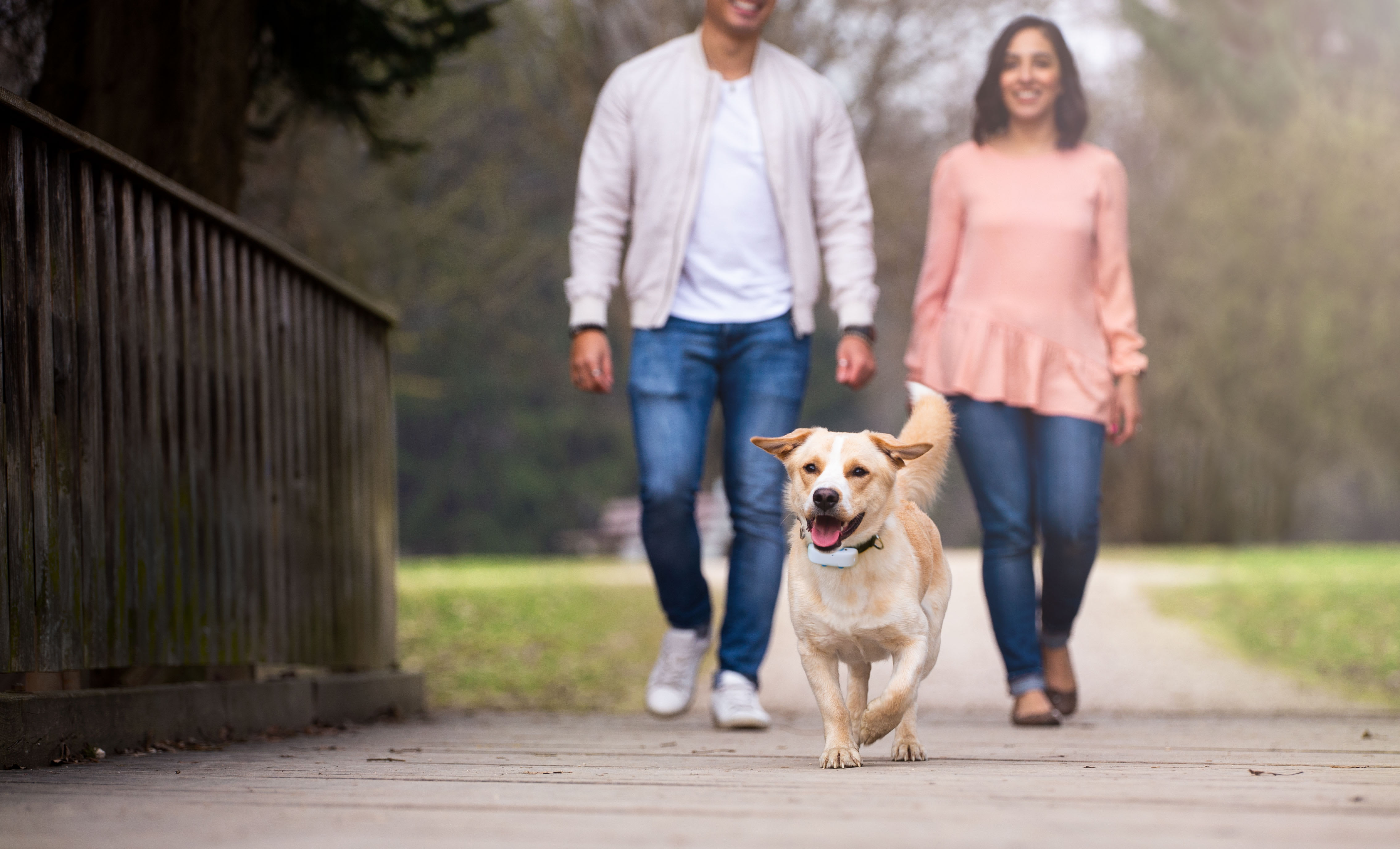 Tractive GPS Tracker for cats and dogs with Activity Monitoring | Tractive