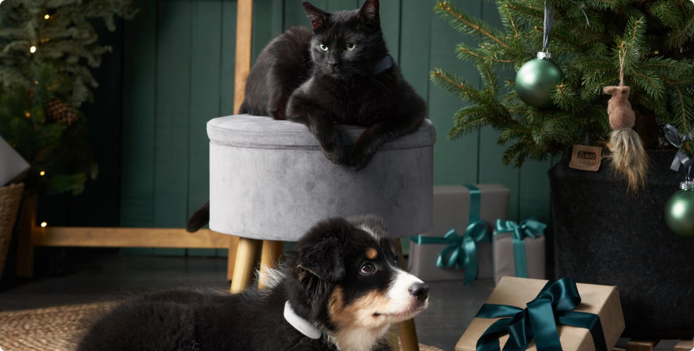 Tractive Christmas Bundles for Cats and Dogs