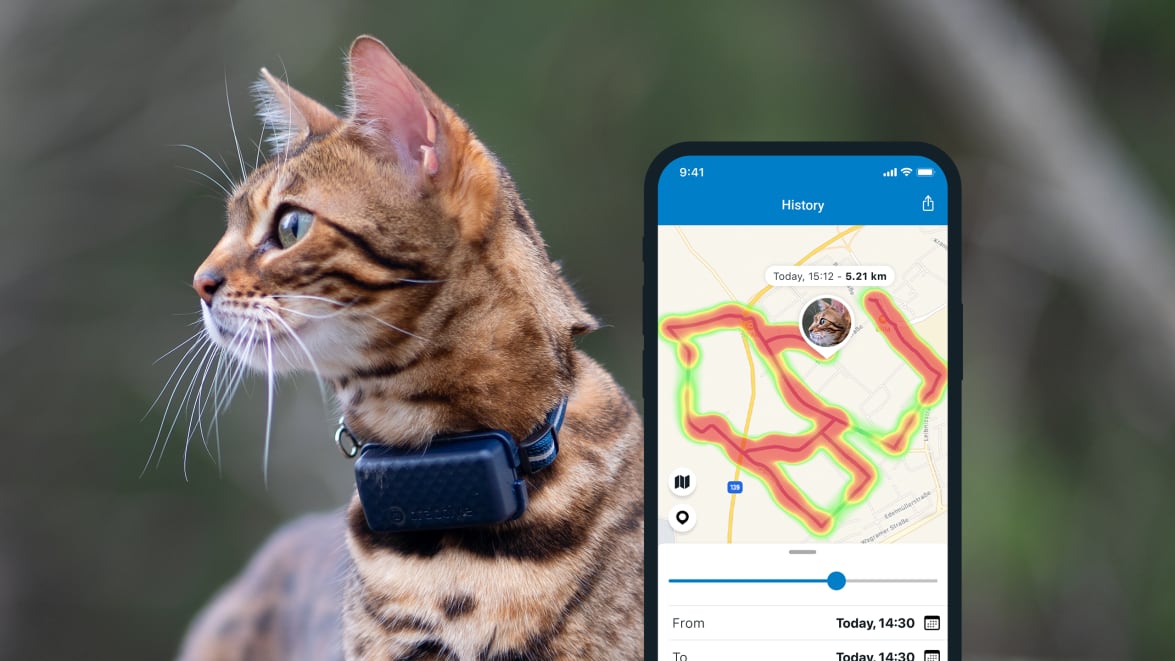 Aktivitetsovervåking med nye Tractive GPS CAT 4 på smarttelefon