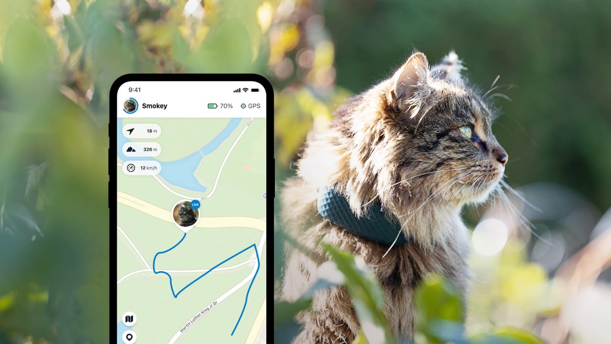 ŽIVÉ sledování s novým trackerem Tractive GPS CAT 4