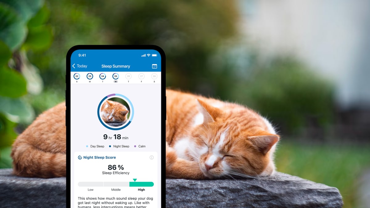 Sleep monitoring with new Tractive GPS CAT 4 on smartphone