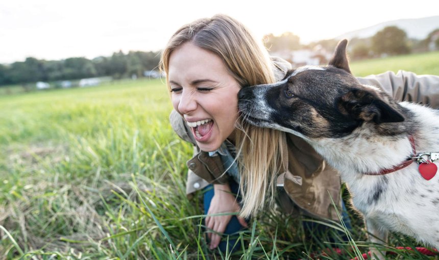 Hund leckt Frau im Gesicht ab