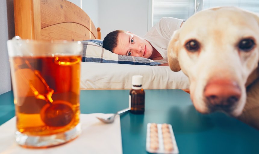 A sick man lying in bed next to a dog