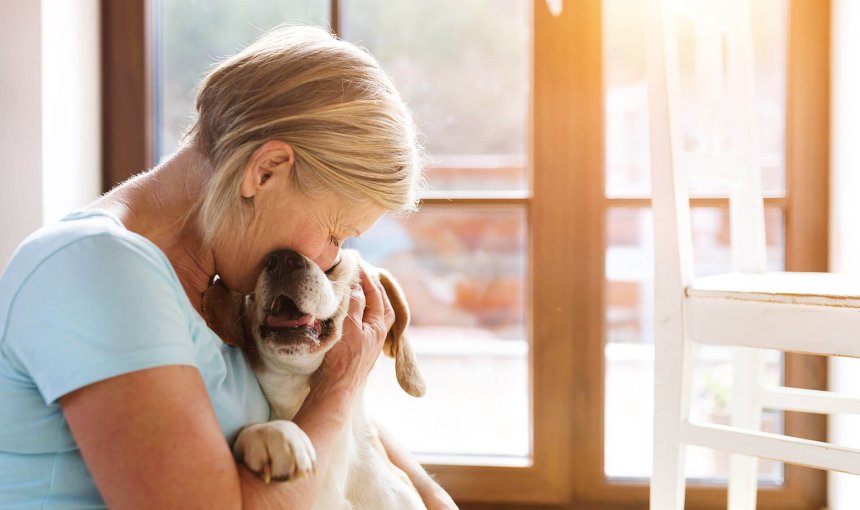 Verhalten alter Hunde: Anzeichen und Tipps für den Alltag
