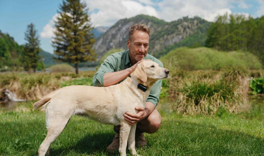 Un chien portant un traceur GPS et de santé Tractive