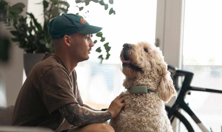 Ein Hund trägt einen Tractive GPS & Health Tracker