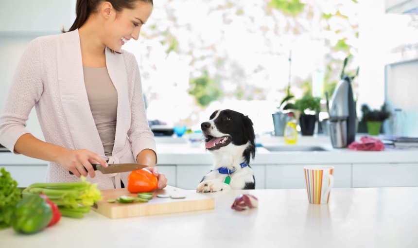 donna in cucina taglia verdure e un cane bianco e nero la osserva