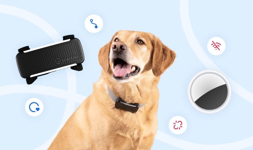 zwarte Tractive hondentracker, hond en een Apple AirTag op een lichtblauwe achtergrond
