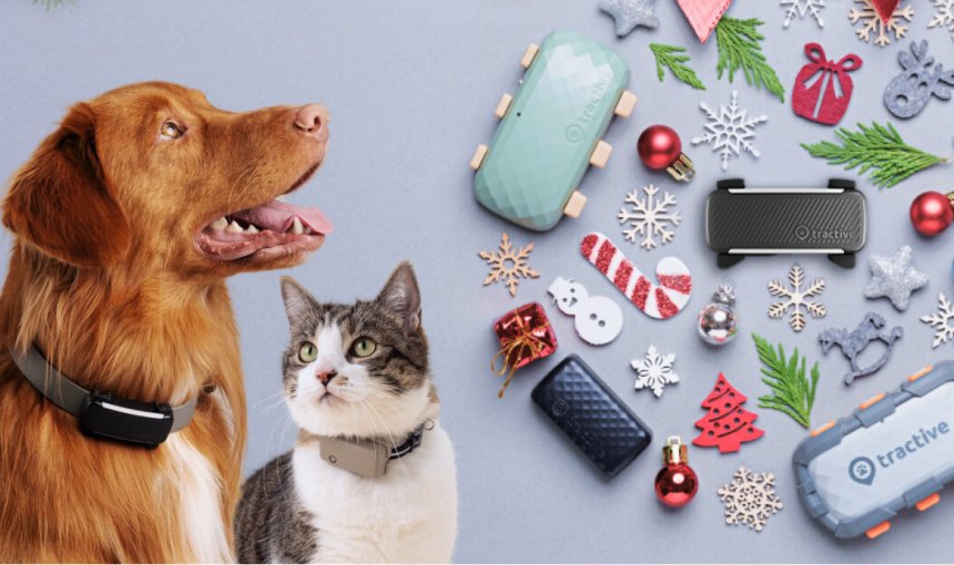 A dog and a cat next to a pile of Christmas presents including a Tractive GPS tracker