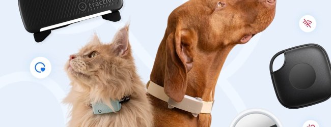 sort Tractive-tracker, kat og hund, AirTag og Tile bluetooth-tracker på lyserød baggrund