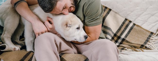 Hund tröstet Mann auf der Couch, der ihn umarmt