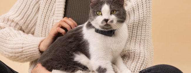 Eine Katze auf dem Schoß einer Frau, die einen GPS-Tracker trägt