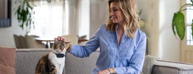 A cat wearing a Tractive GPS & Health tracker sitting next to a woman