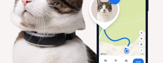 Cat wearing Tractive GPS + Heath Tracker for cats in black, app showing live tracking illustration
