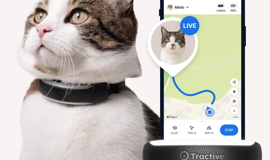 Cat wearing Tractive GPS + Heath Tracker for cats in black, app showing live tracking illustration