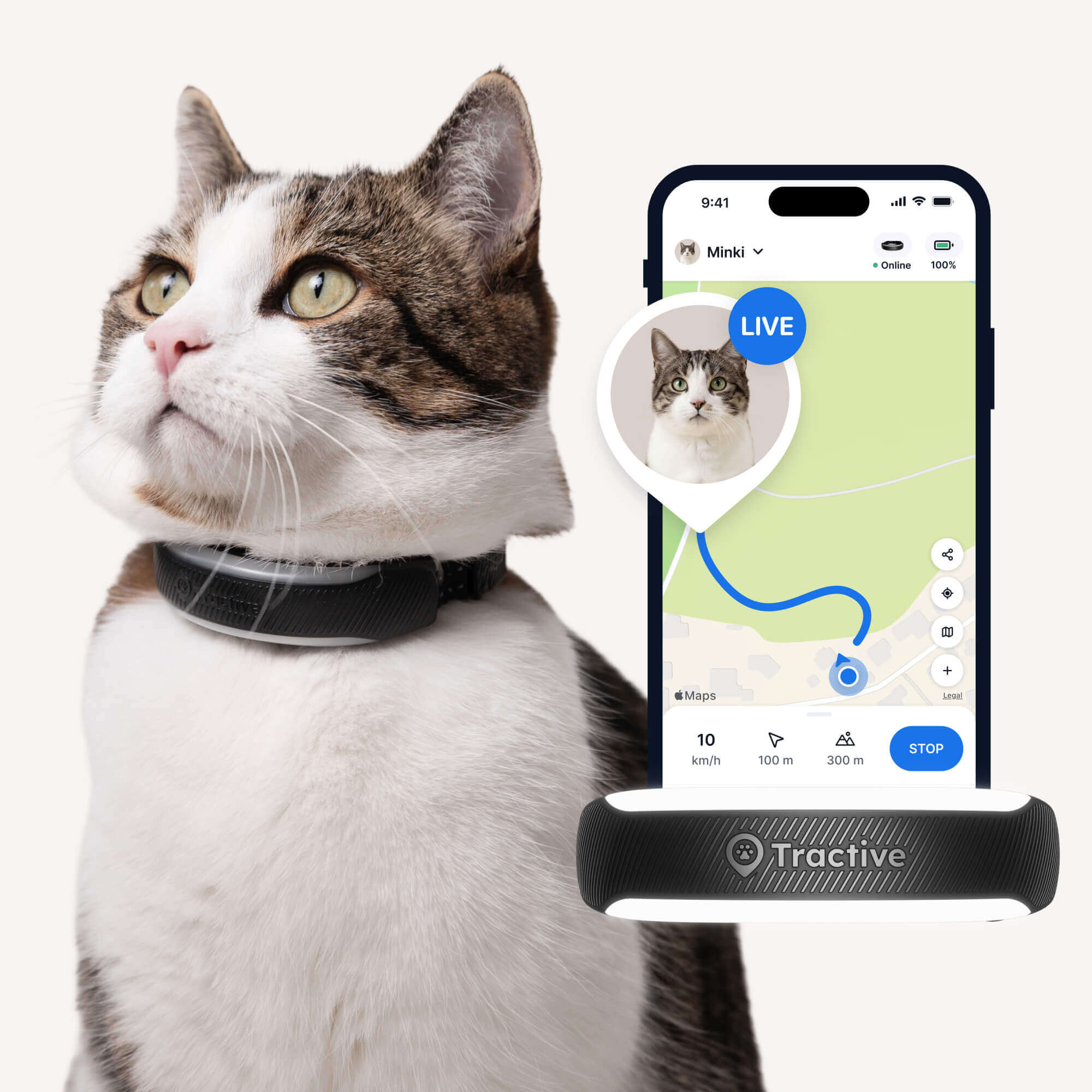 Katze tr&auml;gt Tractive GPS & Health Tracker f&uuml;r Katzen in Schwarz, App zeigt LIVE-Tracking-Illustration