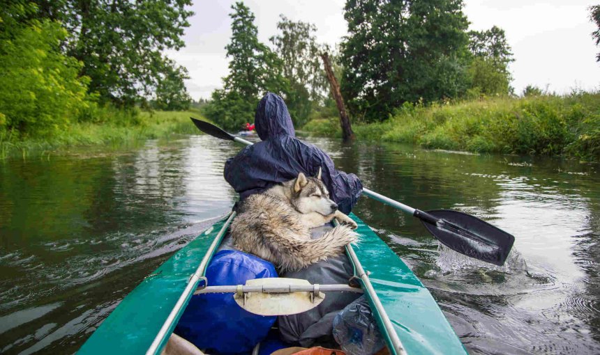 Mann fährt Kanu mit seinem Husky
