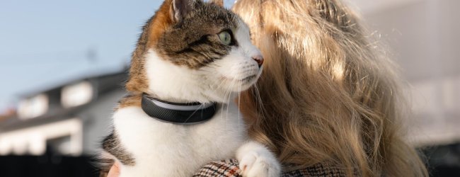 woman carrying cat wearing black gps cat tracker over shoulder