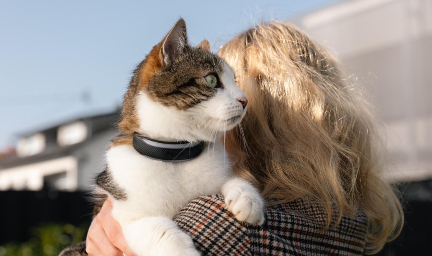 woman carrying cat wearing black gps cat tracker over shoulder