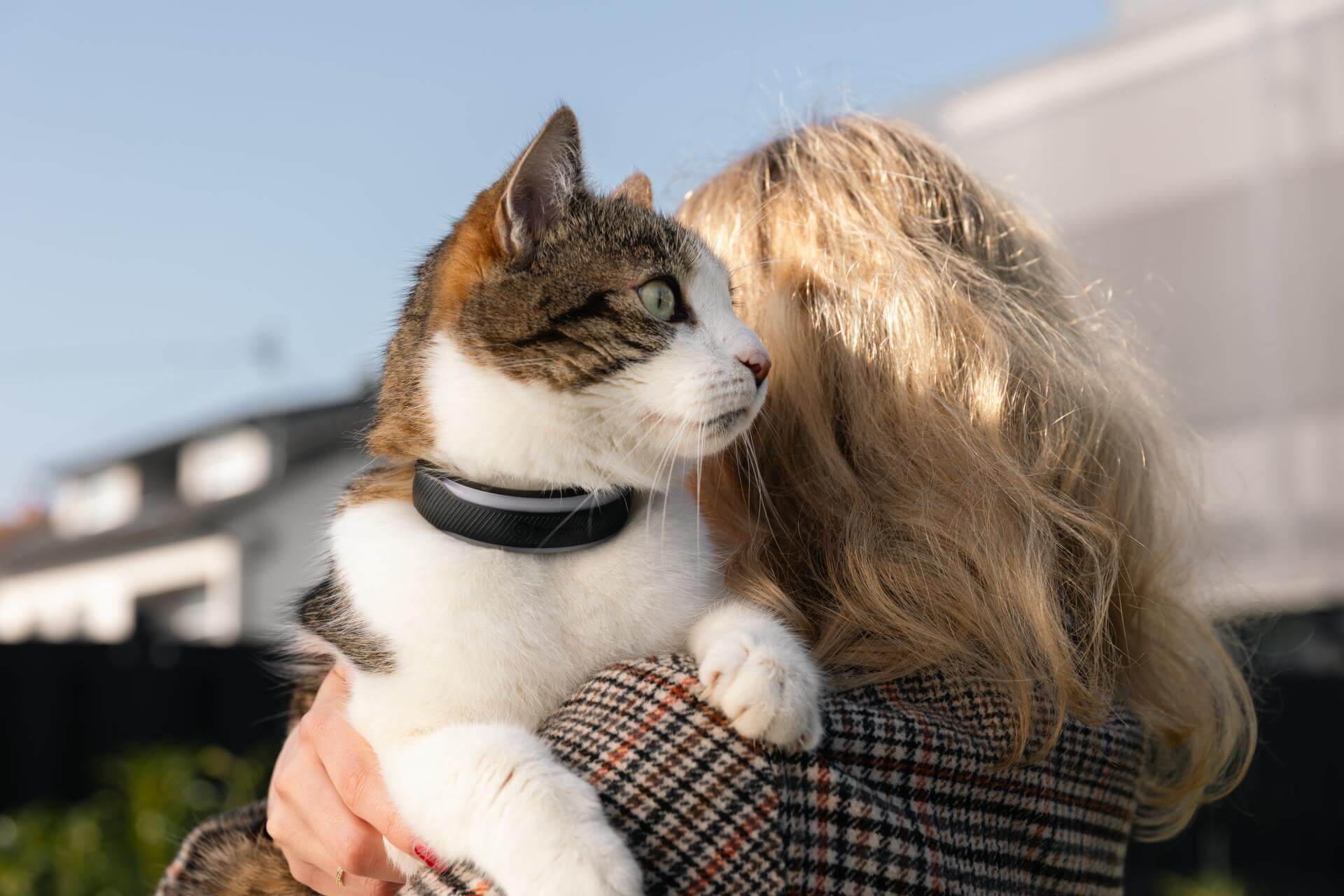 Gibt es einen GPS Tracker fr Katzen ohne Abo? - Tractive