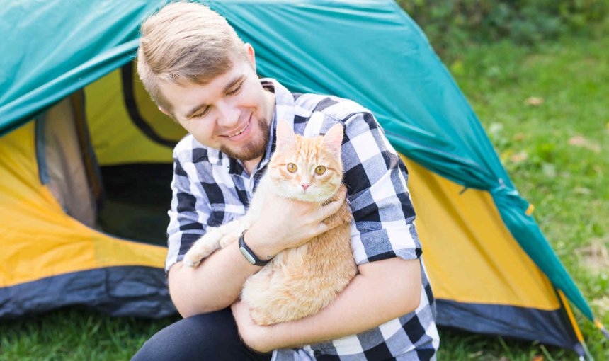 Man camping with a cat