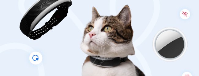 Tractive 6 Mini Cat GPS Tracker, cat, Apple Airtag for cats graphic