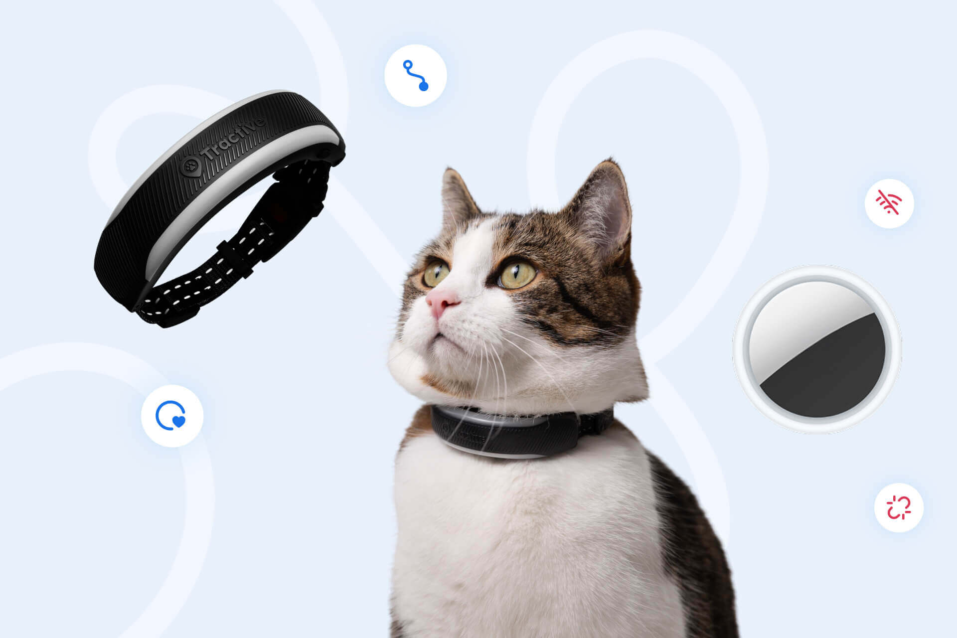 3 Probleme bei der Verwendung des Apple AirTags fr Katzen - Tractive