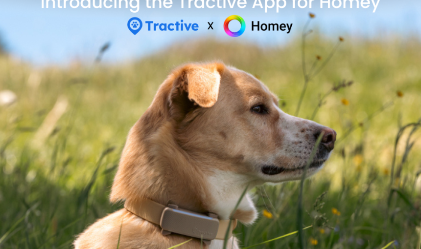 Dog outside with brown tracker + Tractive and Homey logo