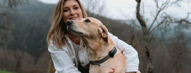 Un perro llevando un rastreador GPS y de salud Tractive