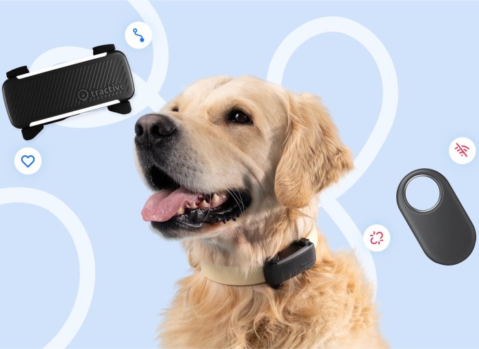 Infografik von Tractive: Samsung SmartTag vs. Tractive GPS Smart Tracker für Hunde und Katzen