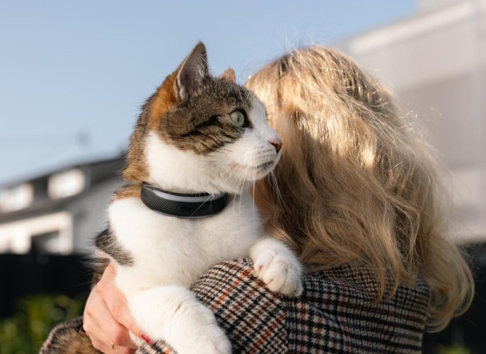 Frau trägt ihre Katze am Arm nach Hause