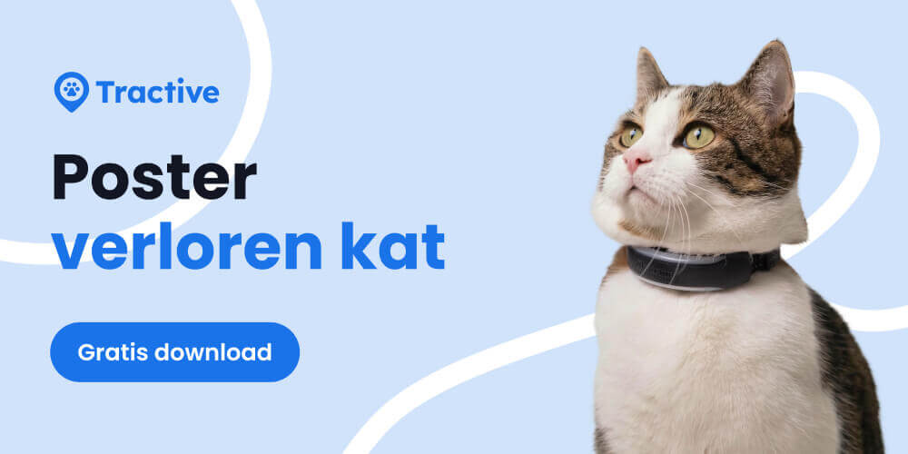 Flyer voor vermiste katten gratis te downloaden via Tractive