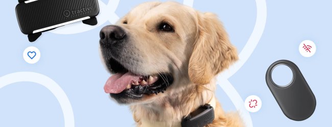 Infografía de Tractive: Samsung SmartTag vs. Tractive GPS Smart Tracker para perros y gatos