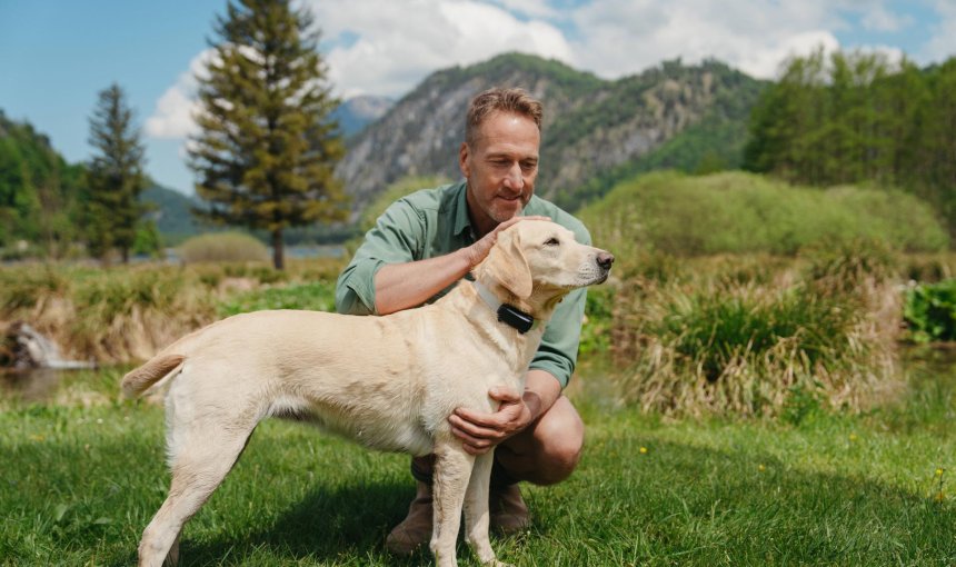Ein Hund trägt einen Tractive GPS & Health Tracker