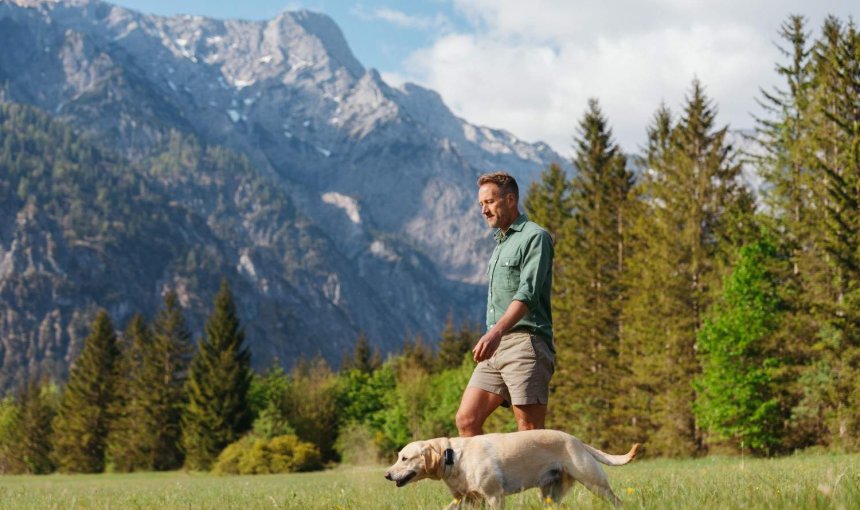 A dog wearing a Tractive GPS tracker out on a walk