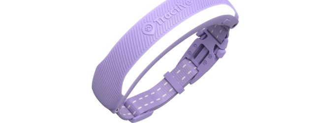 Cat 6 Tracker Tractive