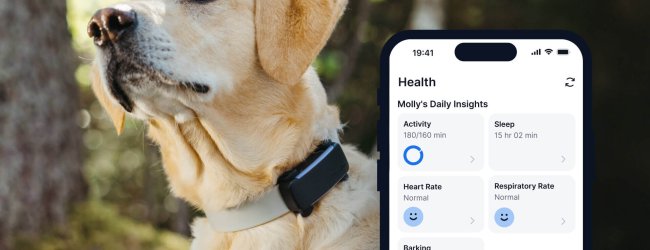 a dog wearing a black dog health tracker from Tractive, trees in the background, app screen in the foreground