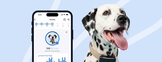 Tractive and Spot Pet Insurance logos above Dalmatian with Tractive activity screen