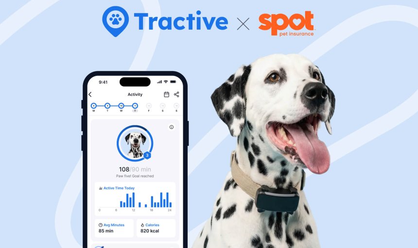 Tractive and Spot Pet Insurance logos above Dalmatian with Tractive activity screen