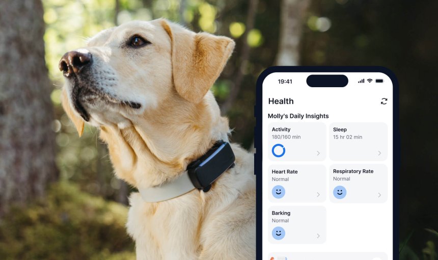 Hund trägt Tractive GPS Tracker, daneben Screenshot der App (Health)