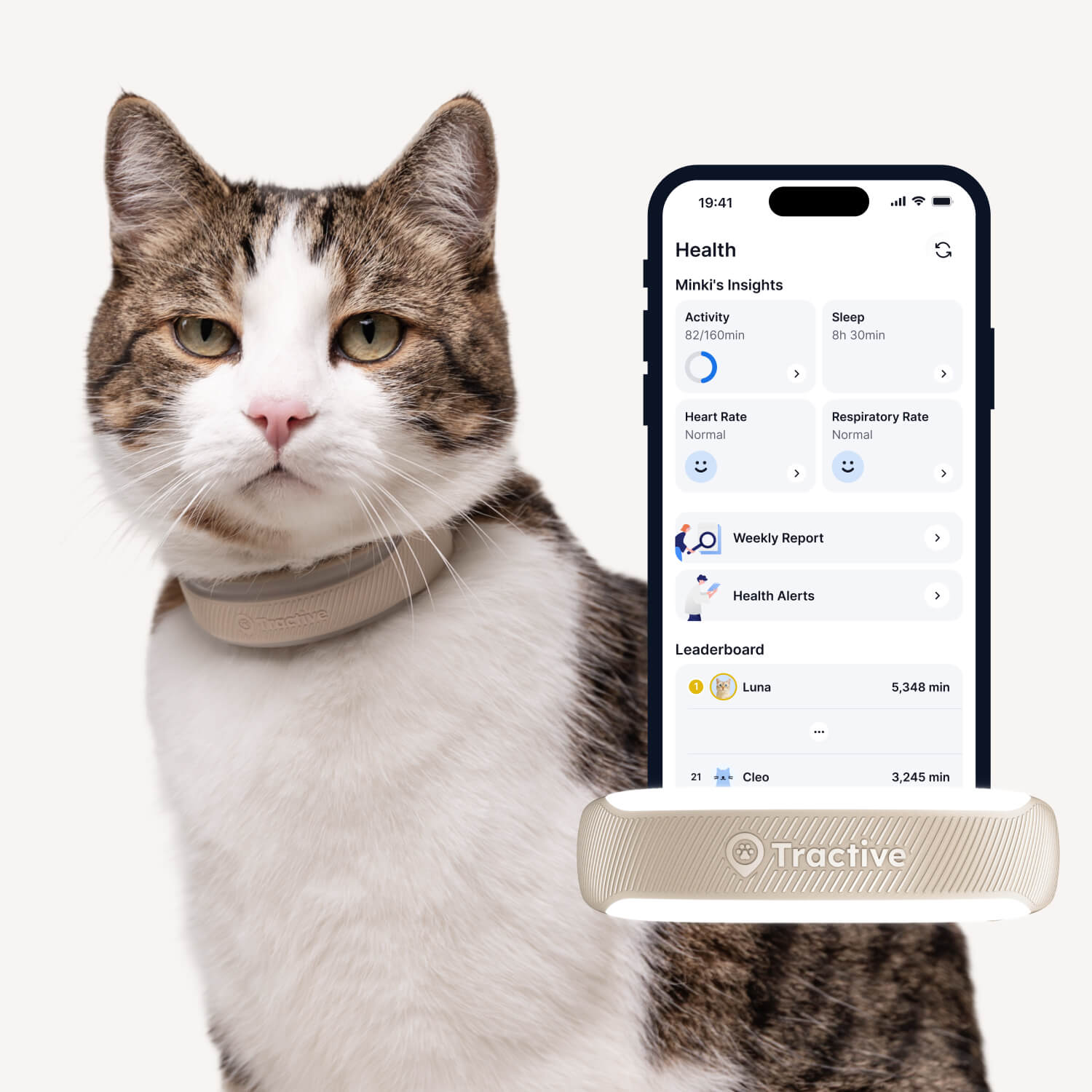 Gato usando el GPS y monitor de salud Tractive para gatos en beige, aplicaci&oacute;n mostrando pantalla de salud