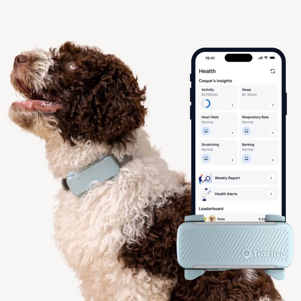 hund med Tractive Smart Hundetracker med GPS- og helseoverv&aring;king, skjermbilde av hundesporingsappen