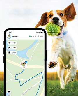 Aplikacja Tractive GPS na pierwszym planie i kot noszący lokalizator Tractive GPS w tle.