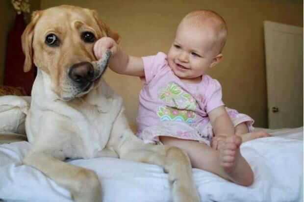 Hund und Kind
